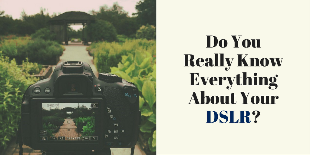 Do You Really Know Everything About Your DSLR?