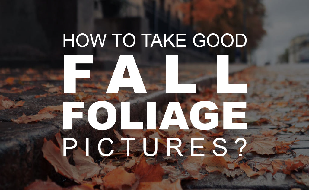 How to Take Good Fall Foliage Pictures?