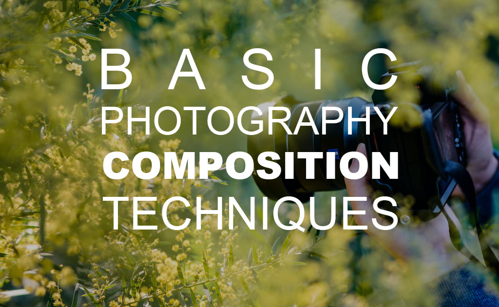 Basic Photography Composition Techniques