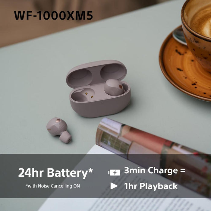 Sony WF-1000XM5 Industry Leading Noise Canceling Truly Wireless Earbuds (Smoky Pink)