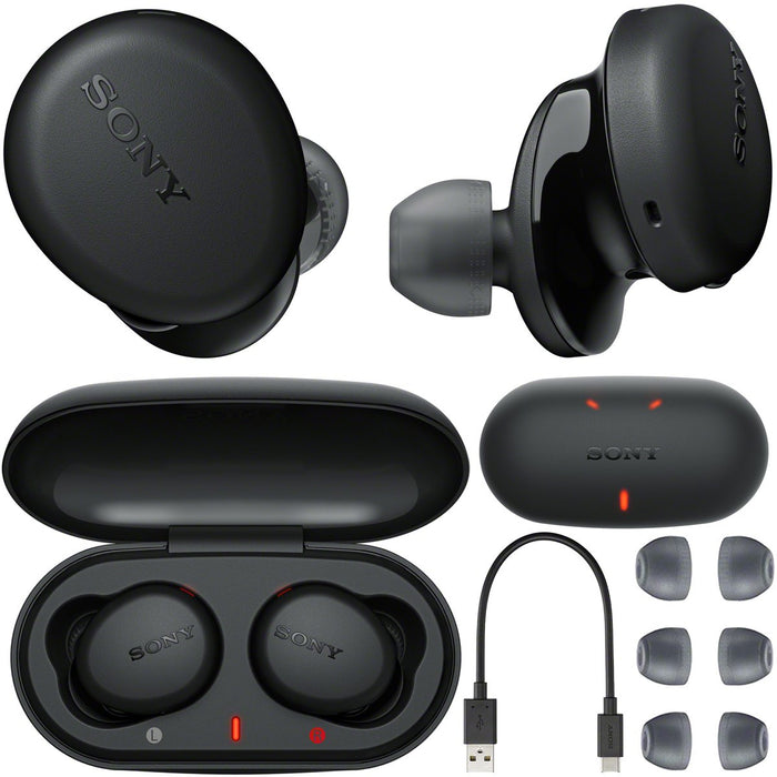 Sony True Wireless Bluetooth Earbuds (SONY-WFXB700)