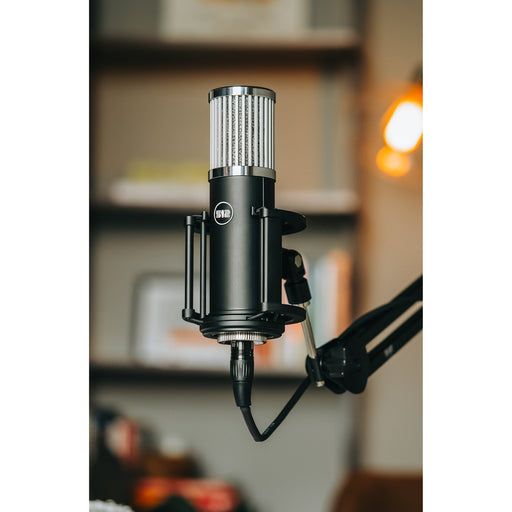 Skylight Large outlet Diaphragm Condenser XLR Microphone